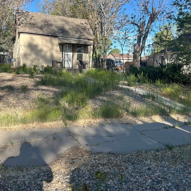 Landscaping work showcasing attention to detail