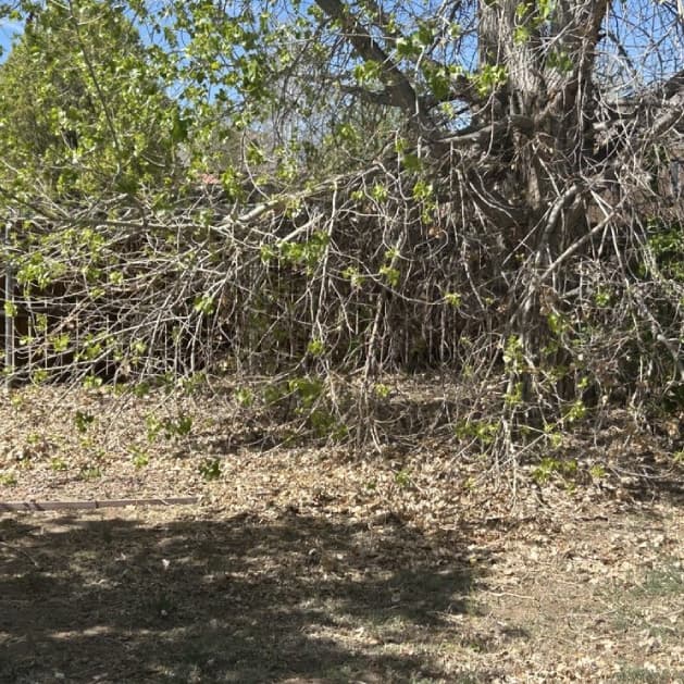 Landscaping project showing full property upgrade