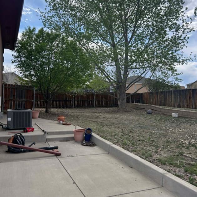 Complete yard maintenance results