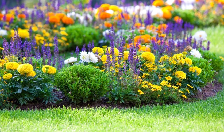 Garden & Planting
