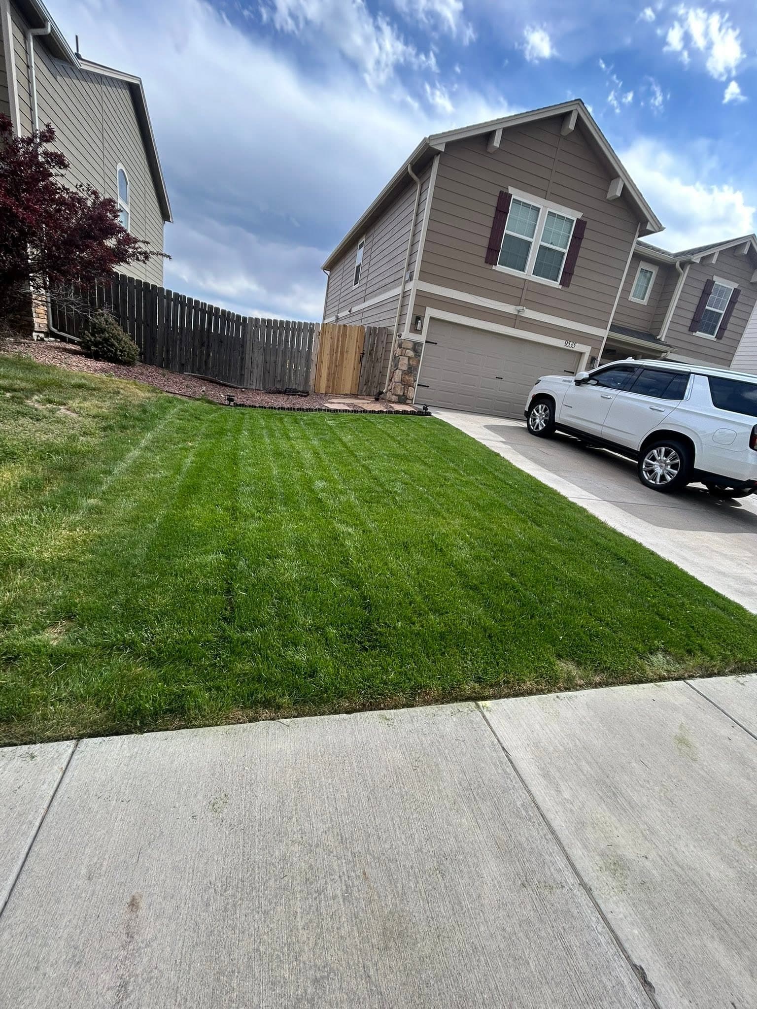 Fresh lawn installation on new construction